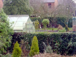 A heron visits the back garden.