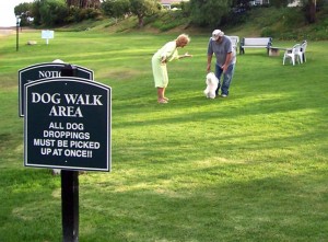 dog-park