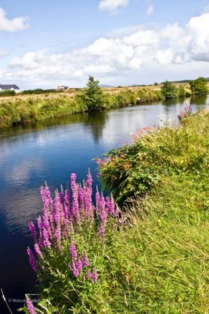 Owenea River Ardara Co. Donegal