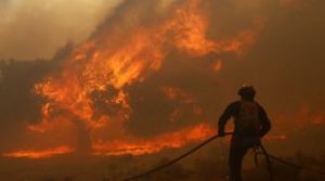 A Greek firefighter collects a water hose after running out of water as a forest fire rages in Marathon near Athens August 5, 2013. A wildfire fanned by strong winds raged near Athens on Monday, damaging homes and sending residents fleeing, fire brigade officials said. Reuters witnesses said the blaze had damaged at least three homes at a hamlet by the town of Marathon - the site of the historic 490 BC battle between Athenians and Persians about 40 kilometres (25 miles) northeast of the Greek capital. REUTERS/Yannis Behrakis (GREECE - Tags: DISASTER ENVIRONMENT)