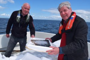 Joe Mahon and Frankie Conlan of the Lough Neagh Eel Fishermen's Cooperative release glass eels into the waters of the lough to replenish the stocks for fishermen of the future.