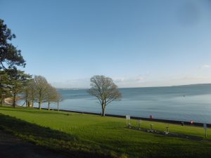 Lough Shore