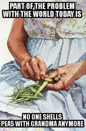 shelling peas