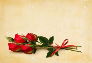 52440190-happy-valentine-s-day-background-single-red-roses-on-an-old-paper-background-vector-